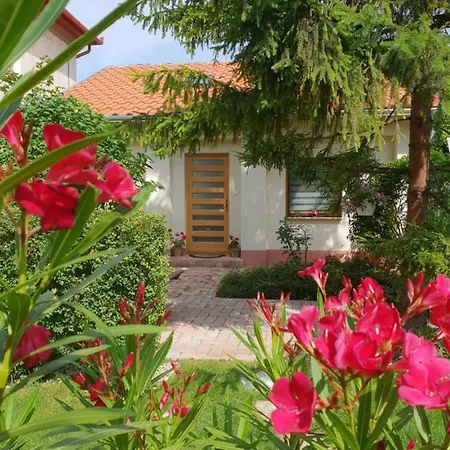 Fuered Deluxe Garden Apartament *