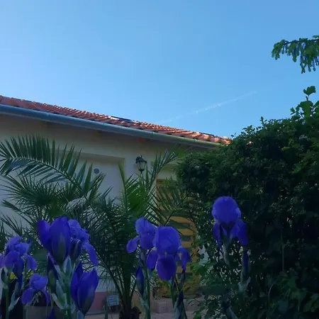 Апартаменты Fuered Deluxe Garden Балатонфюред