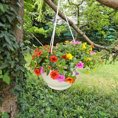 Fuered Deluxe Garden 公寓 巴拉顿菲赖德