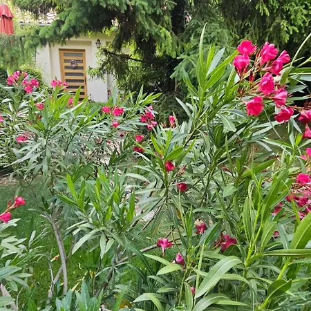 Fuered Deluxe Garden Lejlighed