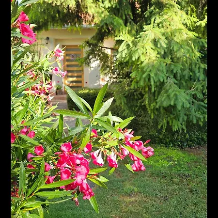 Fuered Deluxe Garden Διαμέρισμα