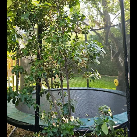Apartament Fuered Deluxe Garden *