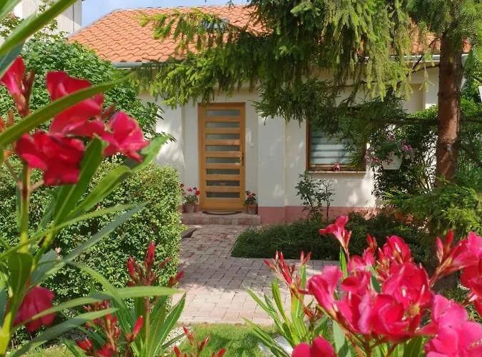 Fuered Deluxe Garden Apartament *