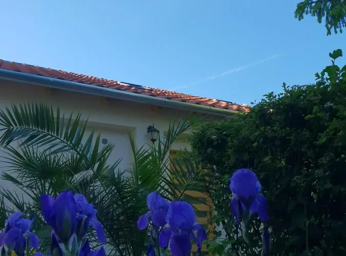 דירה Fuered Deluxe Garden באלאטונפורד