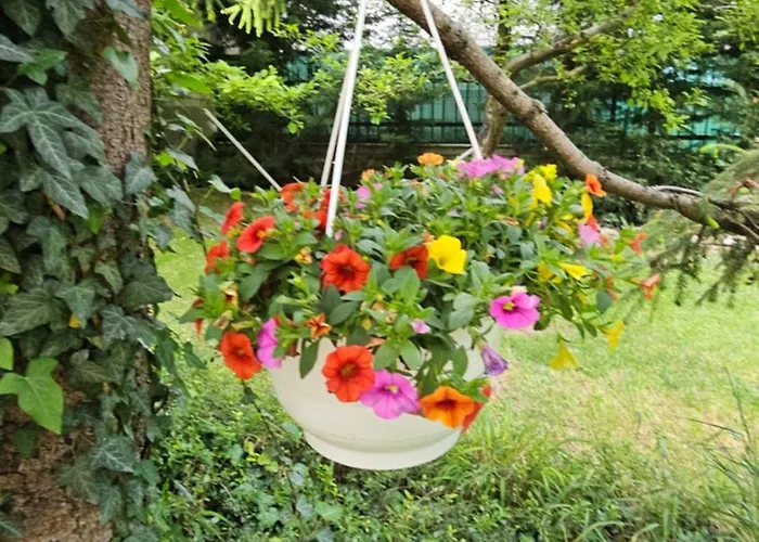 Fuered Deluxe Garden Apartament Balatonfüred