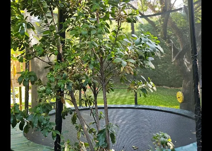 Apartament Fuered Deluxe Garden *